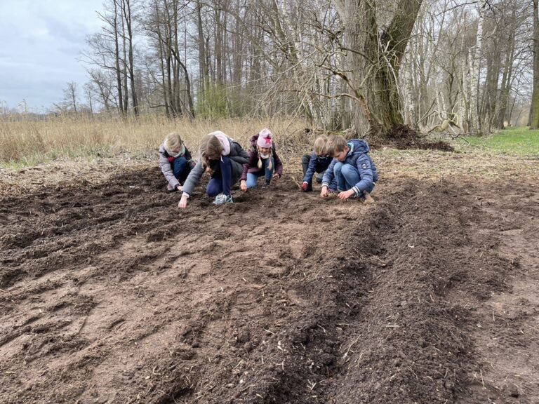 Kinder beim Vorbereiten der Blühfläche